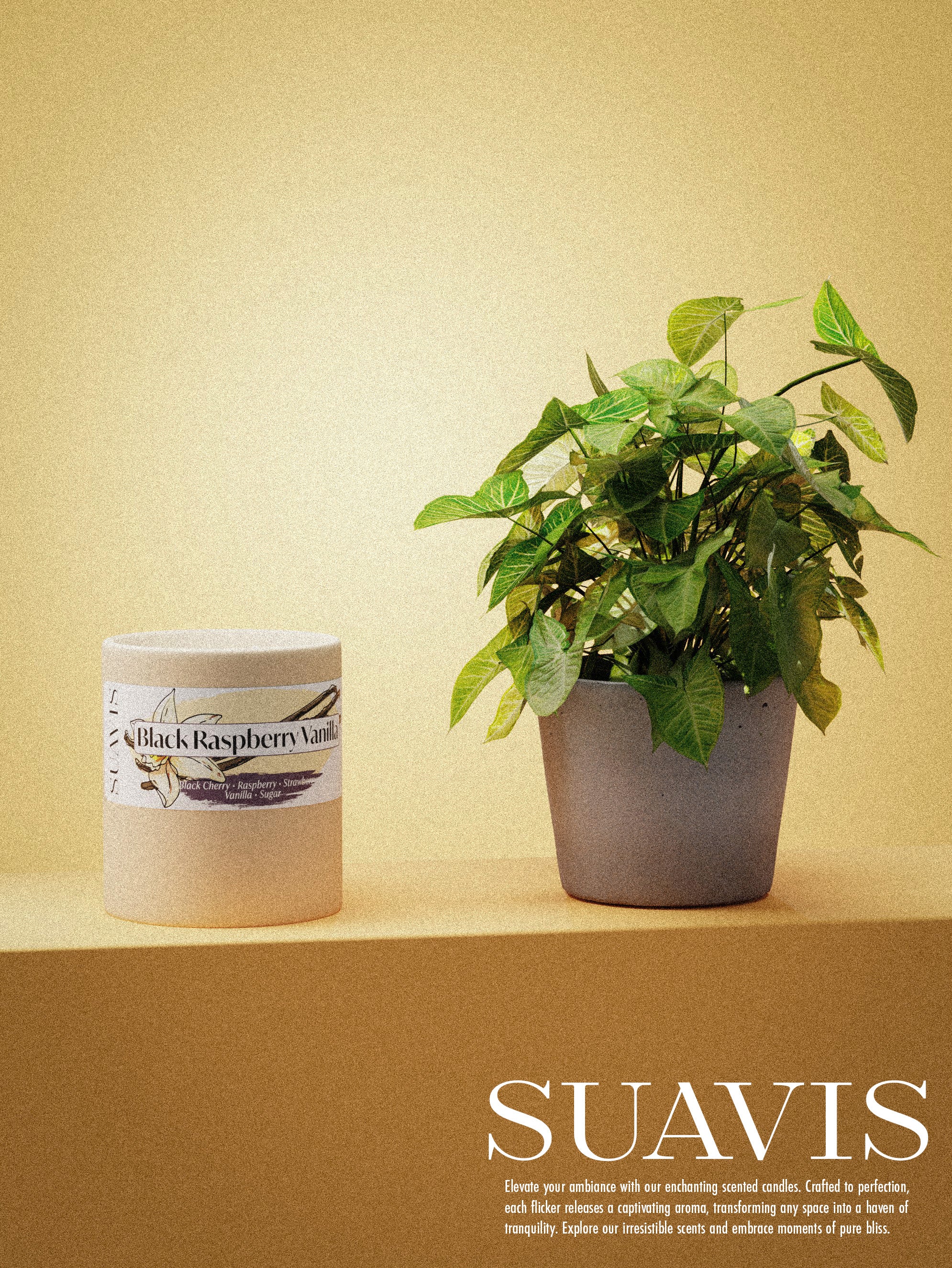 12oz Ceramic Cream Black Raspberry Vanilla scented candle next to a plant pot. Bottom right corner displaying text: Suavis. Elevate your ambiance with our enchanting scented candles. Crafed to perfection, each flicker releases a captivating aroma, transforming any space into a haven of tranquility. Explore our irresistible scents and embrace moments of pure bliss.